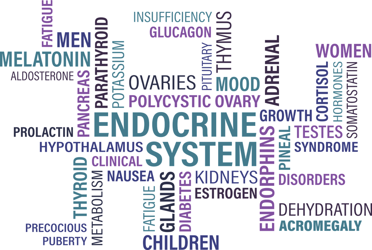 DR AMGHAR FATIHA endocrinologue